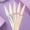 Gel Polish Color DNKa No. 0001 - 12 ml