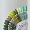 Gel polish - Spectrum F.O.X - 016