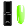 NeoNail Don’t Hide - 7,2 ml