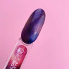 Colored gel polish Lunamoon Nr 250 - 13 ml