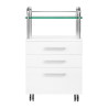 PODOLOGICAL HELPER 6053 WHITE