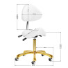 Giovanni cosmetic stool 1004 gold white