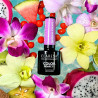 Farbgel-Lack – Claresa – Tropical Escape № 4, 5 g