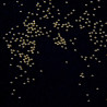 Bulion Lux Golden 0,8mm 4g nro 4
